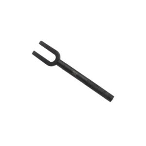 سیبک در بیار